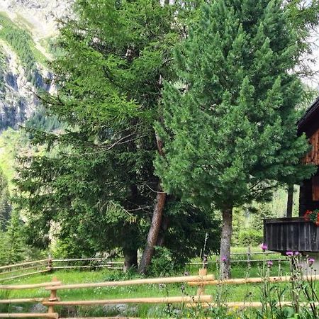 Chalet Wildgall Anterselva di Mezzo Kültér fotó